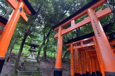 Fushimi Inari Shrine, Kyoto - 9424