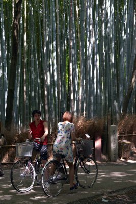 Arashiyama bamboo grove, Kyoto - 9762