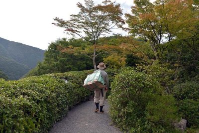 Okochi Sanso Garden, Arashiyama, Kyoto - 9817