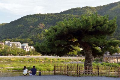 Arashiyama, Kyoto -  9983