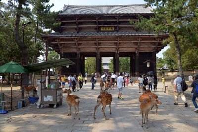 Todaiji Temple, Nara - 0205