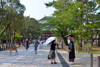 Todaiji Temple, Nara - 0282