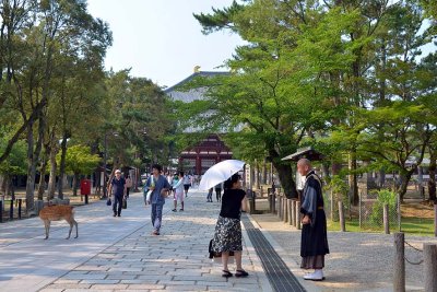 Todaiji Temple, Nara - 0282