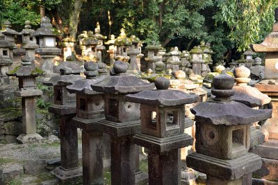 Kasuga-taisha Temple, Nara - 0353