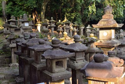 Kasuga-taisha Temple, Nara - 0373