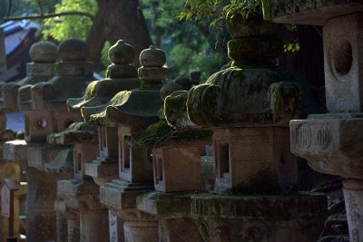 Kasuga-taisha Temple, Nara - 0376