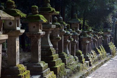 Kasuga-taisha Temple, Nara - 0381