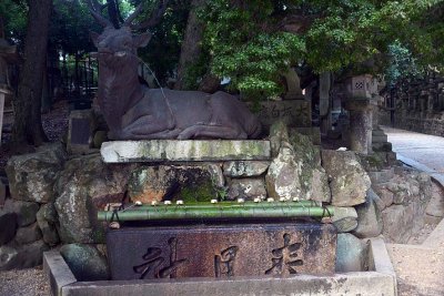 Kasuga-taisha Temple, Nara - 0385
