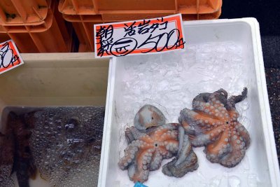 Omicho market, Kanazawa - 0885