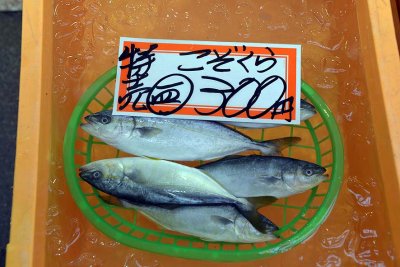 Omicho market, Kanazawa - 0887
