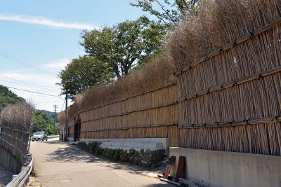 Ozawa/Kamiozawa villages, Noto Peninsula - 1043