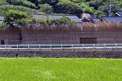 Ozawa/Kamiozawa villages, Noto Peninsula - 1049