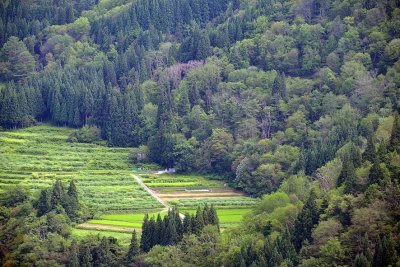 Shokawa Valley, Gifu Prefecture - 1423