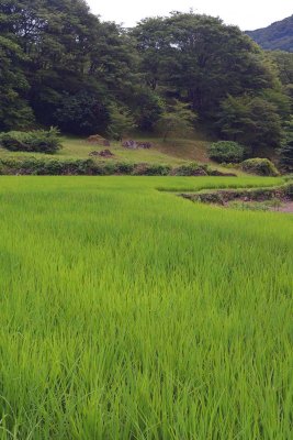 Ainokura, Gokayama - 1634