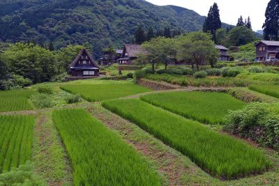 Ainokura, Gokayama  - 1711