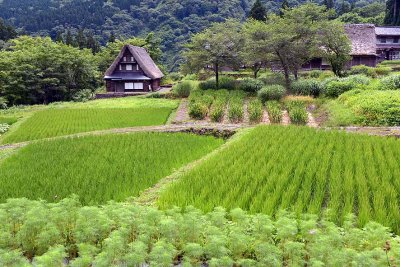 Ainokura, Gokayama  - 1715