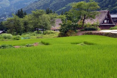 Ainokura, Gokayama - 1734
