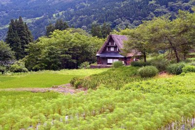 Ainokura, Gokayama  - 1738