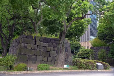 Imperial Garden - Tokyo - 3238