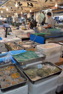 Tsukiji Fish Market - Tokyo - 3475
