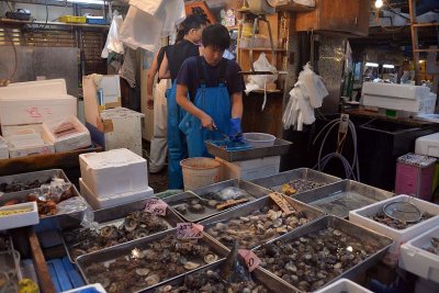 Tsukiji Fish Market - Tokyo - 3483
