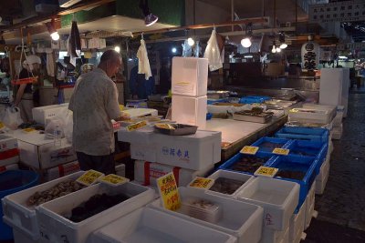 Tsukiji Fish Market - Tokyo - 3492