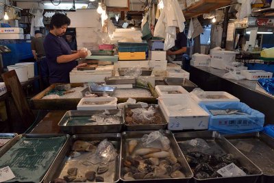 Tsukiji Fish Market - Tokyo - 3517
