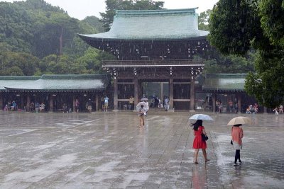 Meiji Shrine - Tokyo - 3764