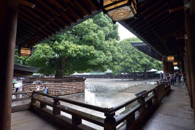 Meiji Shrine - Tokyo - 3773