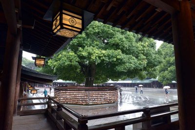 Meiji Shrine - Tokyo - 3777