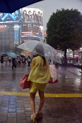 Shibuya, Tokyo - 3904