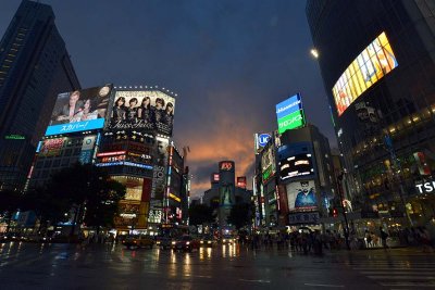 Shibuya, Tokyo - 3964