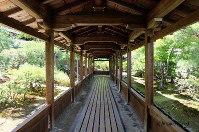 Tenryuji temple, Arashiyama, Kyoto - 1008