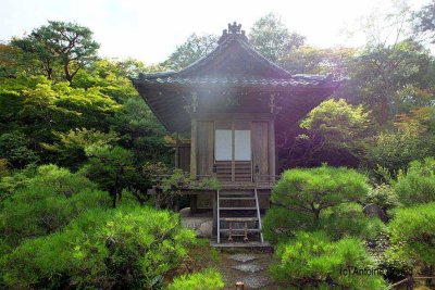 Okochi Sanso Garden, Arashiyama, Kyoto - 1119