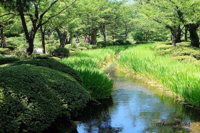 Kenrokuen garden, Kanazawa - 1434