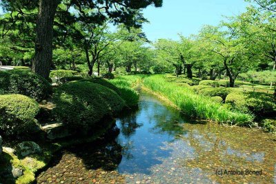 Kenrokuen garden, Kanazawa - 1436