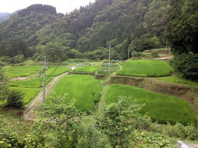 Ainokura, Gokayama - 0330