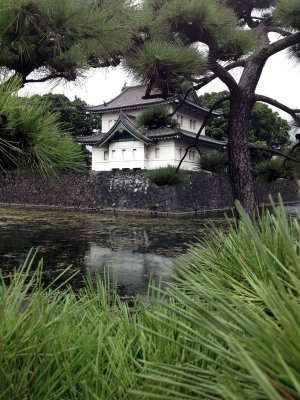 Imperial Garden - Tokyo - 0461