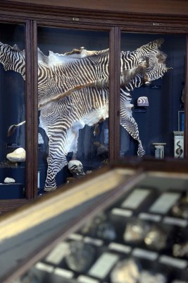 Natural History Museum, Vienna - 4651
