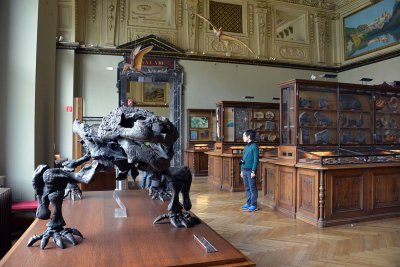 Natural History Museum, Vienna - 4689