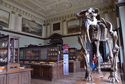 Natural History Museum, Vienna - 4696