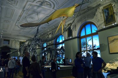 Natural History Museum, Vienna - 4704