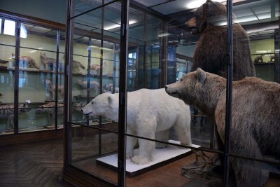 Natural History Museum, Vienna - 4788