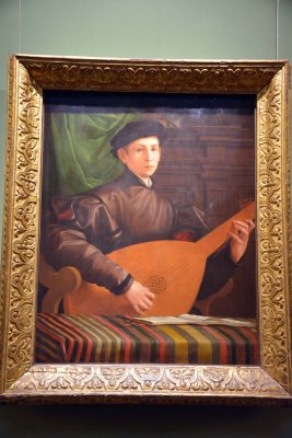 Francesco Salviati - Portrait of a lute player (1530) - Palatine Gallery, Pitti Palace -  6463