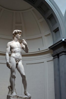 Michelangelo - David (1501-1504) - Accademia Gallery, Florence - 7109