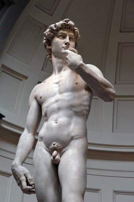 Michelangelo - David (1501-1504) - Accademia Gallery, Florence - 7113