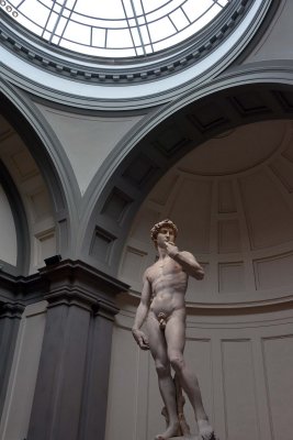 Michelangelo - David (1501-1504) - Accademia Gallery, Florence - 7120