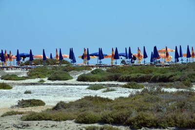 Saline Beach - Stintino - Sardinia - 0508