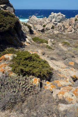 Capo Testa - Sardinia - 2286
