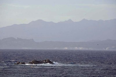 Corsica seen from Santa Teresa di Gallura - Sardinia - 2625